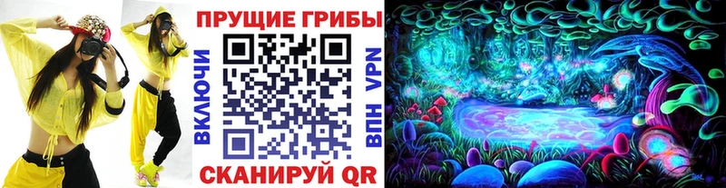 сколько стоит  Новоузенск  Галлюциногенные грибы ЛСД 